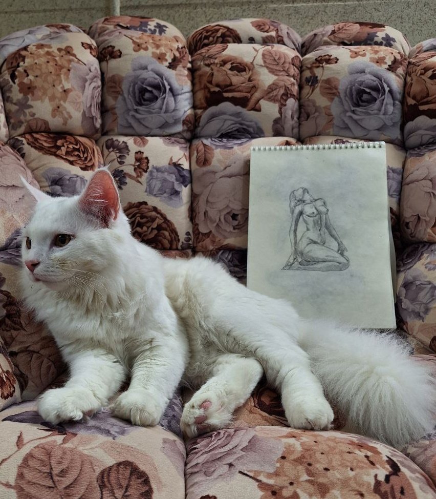 Moonli🇮🇷🇮🇱 tweet media