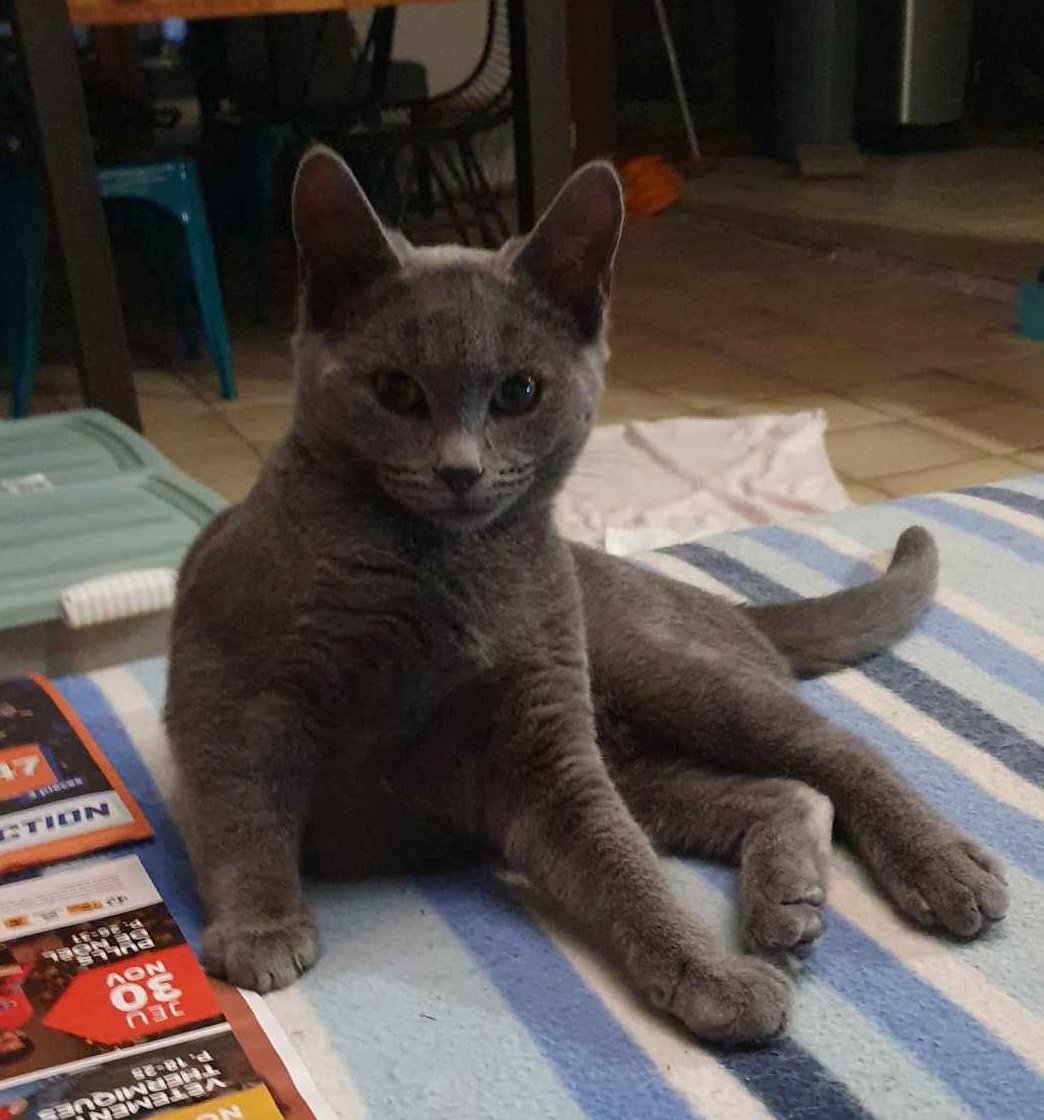 Que j'aime bien faire de l'assoyage comme ça #loki