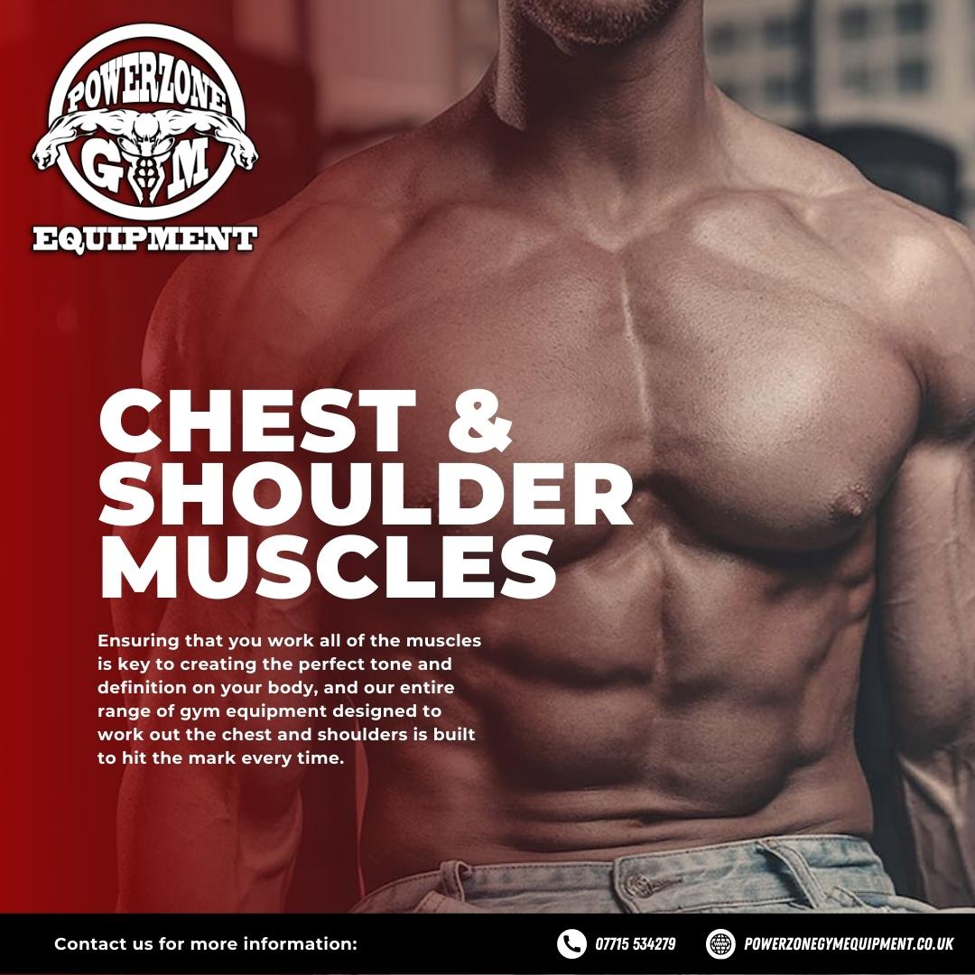 PowerzoneUK's tweet photo. Our entire range of equipment designed for the chest and shoulders is perfect to ensure that you're maximising your gains, whether you're looking for definition in your pecs or you're looking for huge shoulders! #gymequipment #ukfitness #ukweightlifing #bodybuilding #ukgym https://t.co/ethR9iJxrB