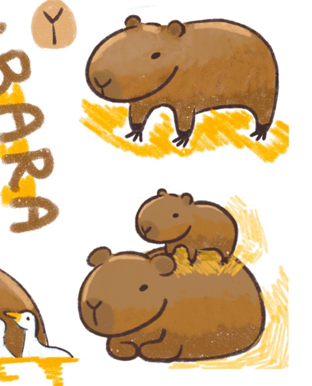 Capybara ~↗️↘️

#capybara #carpincho #coconutdog
#capybaralove