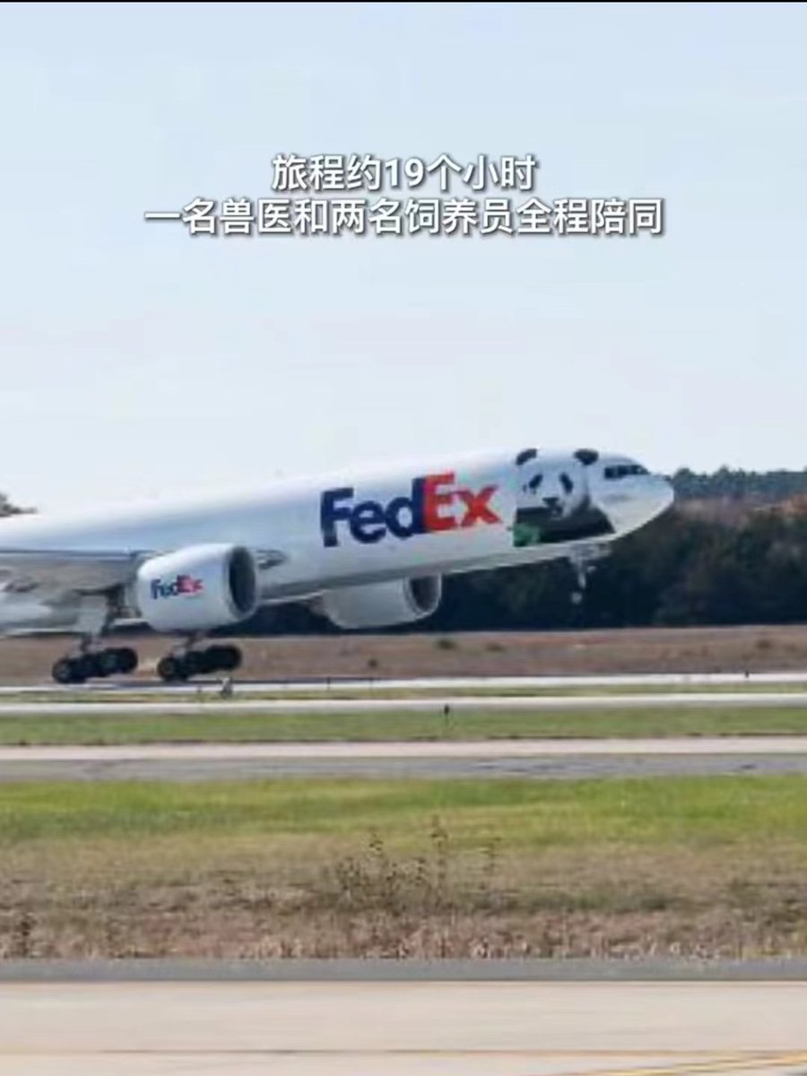 niannian1287412's tweet photo. #旅居美国大熊猫回国啦 旅美大熊猫“美香”一家，回国！ https://t.co/oxDmuQvUer
