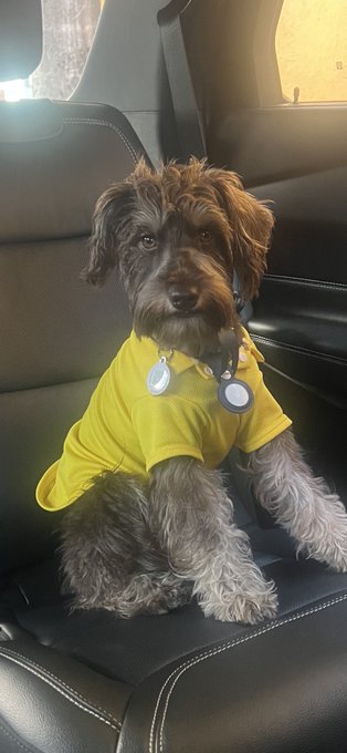 I h8 when people see him and ask &ldquo;omg boy or girl??&rdquo; Like he is clearly a handsome little boy https://t