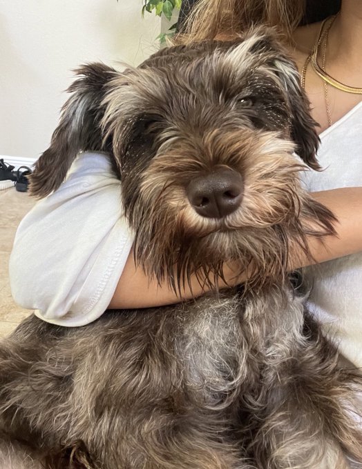 I h8 when people see him and ask &ldquo;omg boy or girl??&rdquo; Like he is clearly a handsome little boy https://t