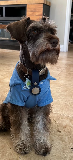 I h8 when people see him and ask &ldquo;omg boy or girl??&rdquo; Like he is clearly a handsome little boy https://t