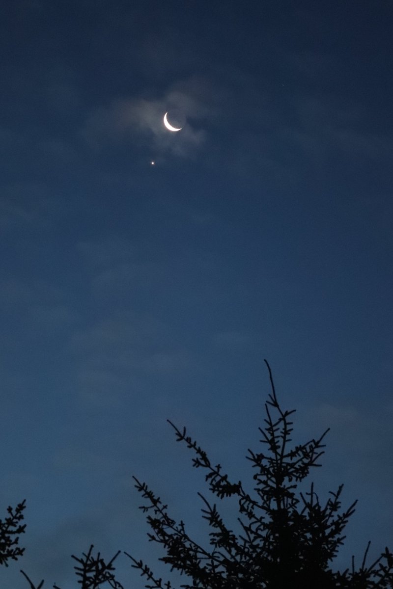DaysDyingGlory's tweet image. The moon cosying up to Venus this morning.
🌙
#Caithness #Scotland #MoonGazing