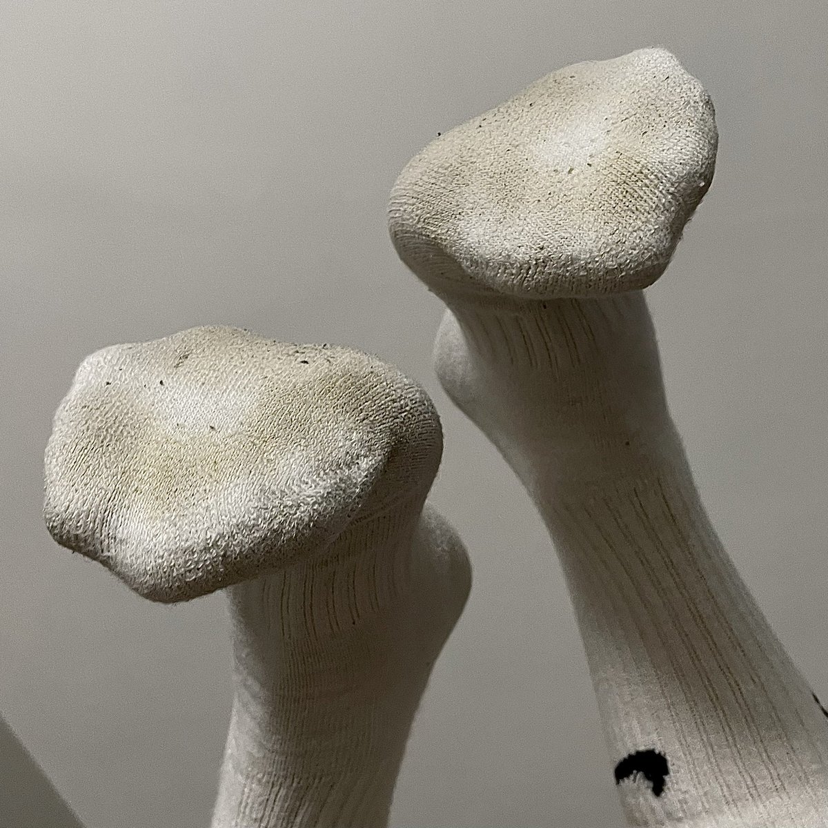 socks_josh's tweet photo. 一雙雙都是精華🦶🏻印記味道俱全 https://t.co/gsZk7cbyHX