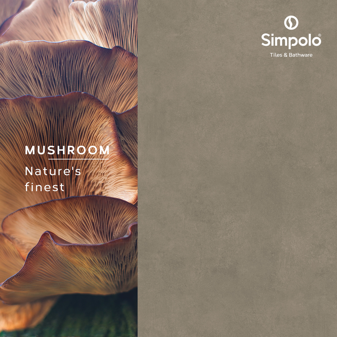 simpoloceramics's tweet image. Simpolo's Mushroom-Toned Tiles: Where Natural Beauty Meets Elegance!

#SimpoloTilesandBathware #SimpoloCollection #TilesCollection #TilesPattern #HomeDecor #SpectraCollection