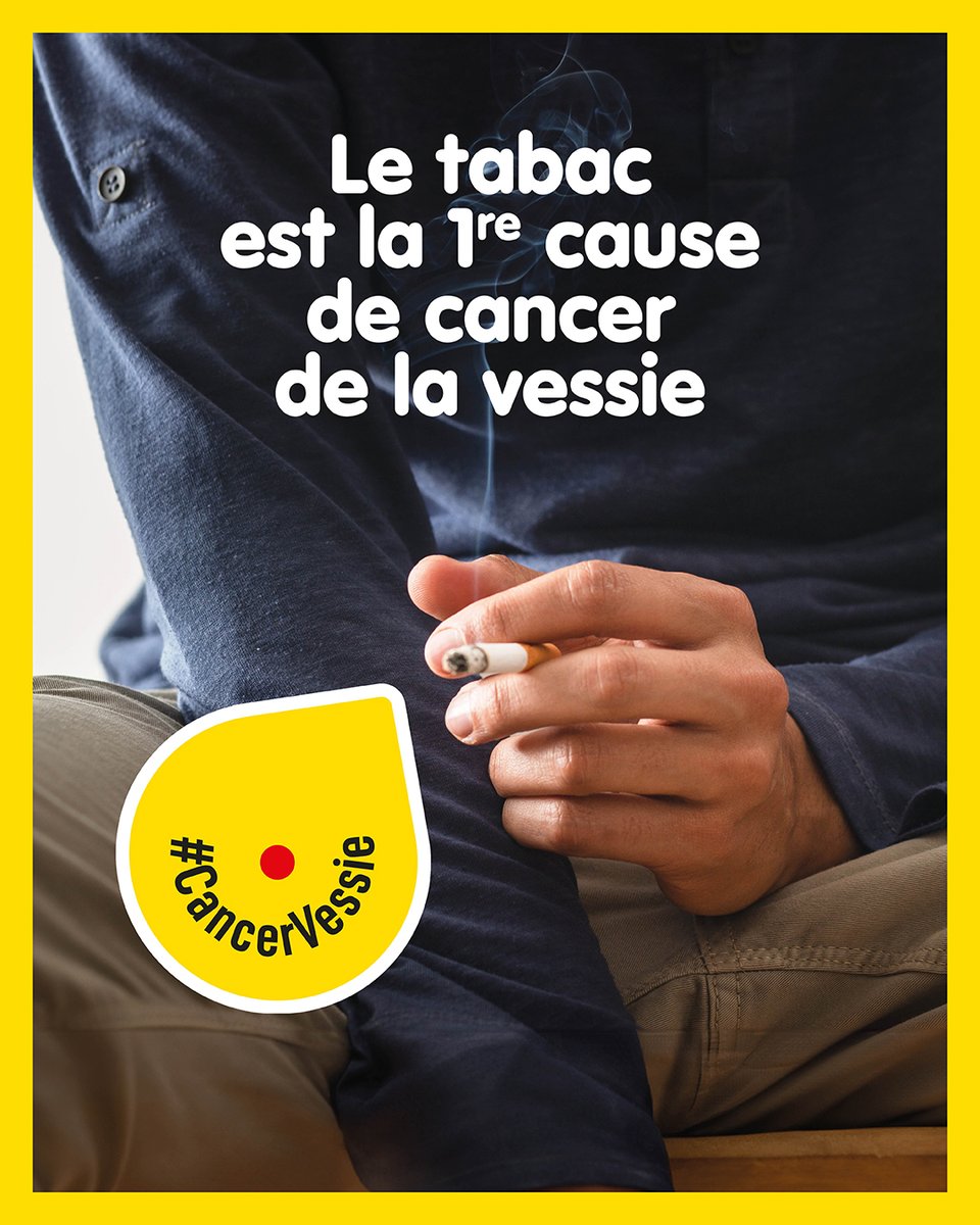 AFUrologie's tweet photo. Le cancer de la vessie fait partie des 5 types de cancers les plus impactés par le tabac. ⚠️ 🚬  De façon générale, le tabac est à l'origine de 30 % de la totalité des cancers. Continuons la prévention auprès de nos patients. 👨‍⚕️ 

https://t.co/335a5qPl0w

#moissanstabac #urologie https://t.co/18qodeSHq1