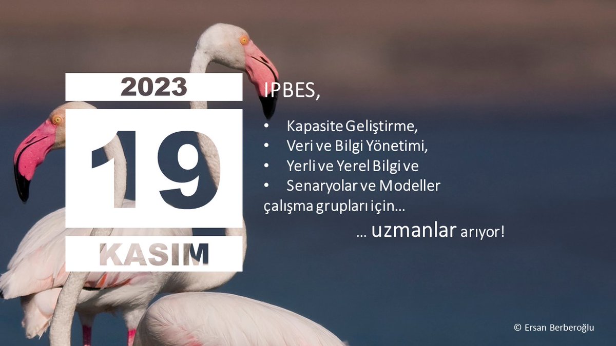 BES_Turkiye's tweet photo. 🚨Güncelleme🚨

Yeni tarih: 19 Kasım!

2. Küresel Değerlendirme Kapsam Raporu ve Çalışma Grupları için başvurular 19 Kasım'a uzatıldı!

Güncel takvim ve bildirimler için ⤵️
https://t.co/Jn6I4HjTVW https://t.co/ptaEpzDEkv