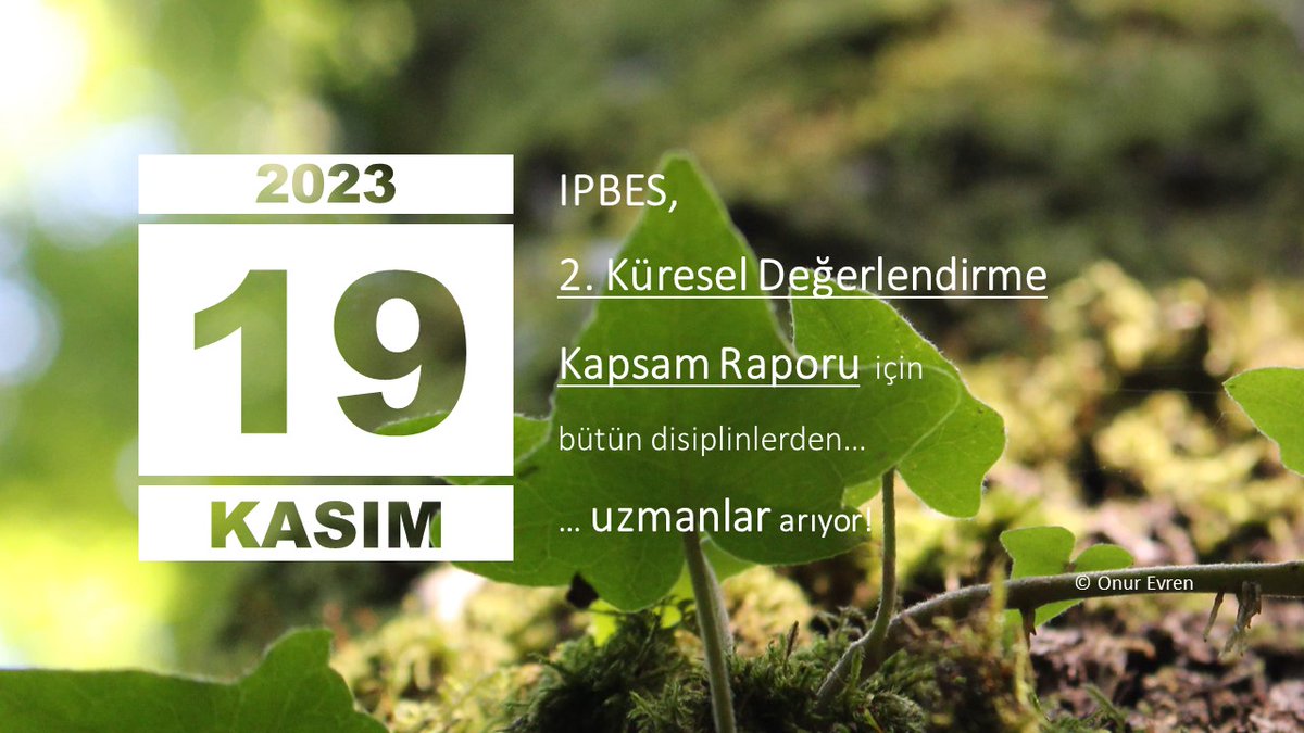 🚨Güncelleme🚨

Yeni tarih: 19 Kasım!

2. Küresel Değerlendirme Kapsam Raporu ve Çalışma Grupları için başvurular 19 Kasım'a uzatıldı!

Güncel takvim ve bildirimler için ⤵️
ipbes.net/node/59214