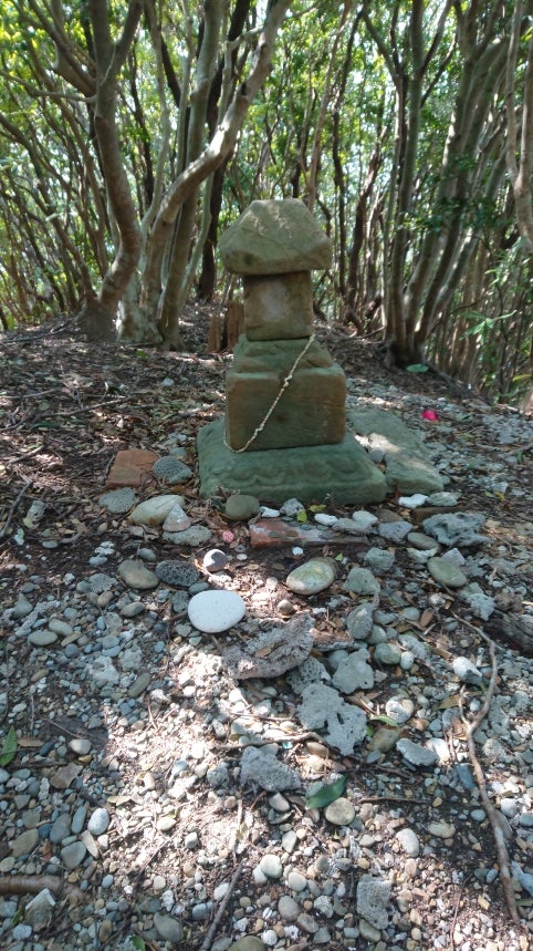 キノト（四然派） tweet media