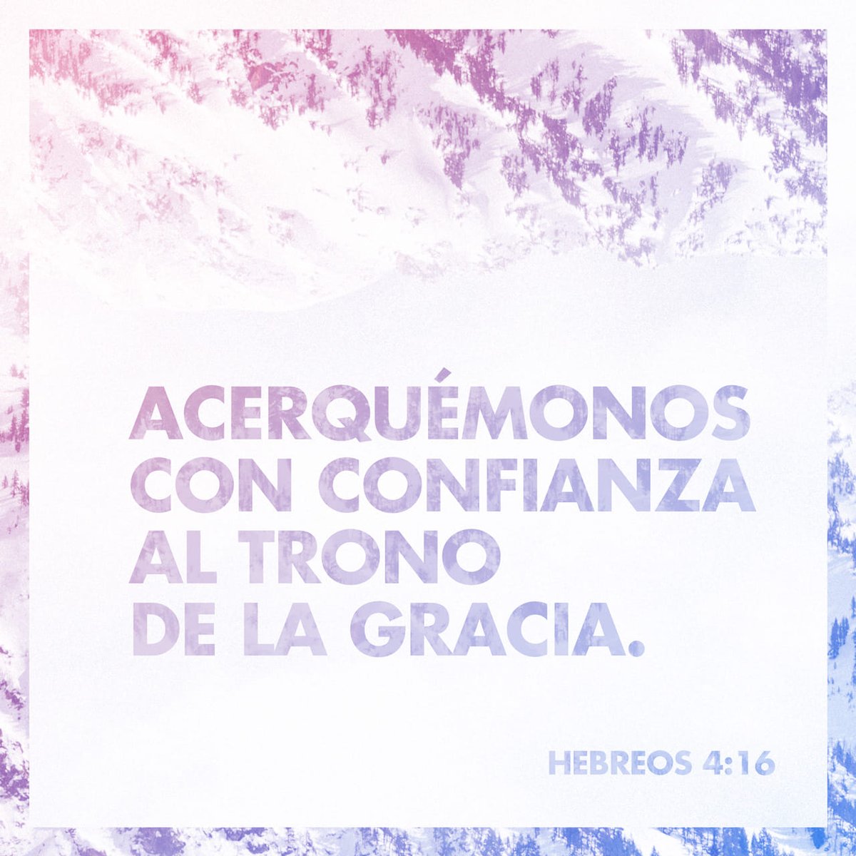 JuaxCastell's tweet photo. Acerquémonos, pues, llenos de confianza a ese trono de gracia, seguros de encontrar la misericordia y el favor divino en el momento preciso.

HEBREOS 4:16 BLP https://t.co/xkEVZW5rnk