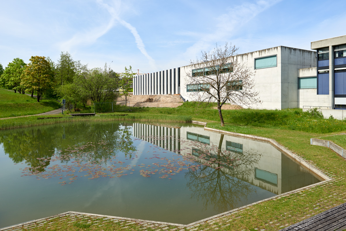 Wir fördern die #Biodiversität neu auch bei kantonalen Gebäuden. Das Immobilienamt hat dazu eine Richtlinie für die naturnahe Pflege der Grünflächen der kantonalen #Immobilien erlassen.

zh.ch/de/baudirektio…