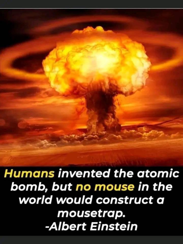 Cat Rushworth tweet media