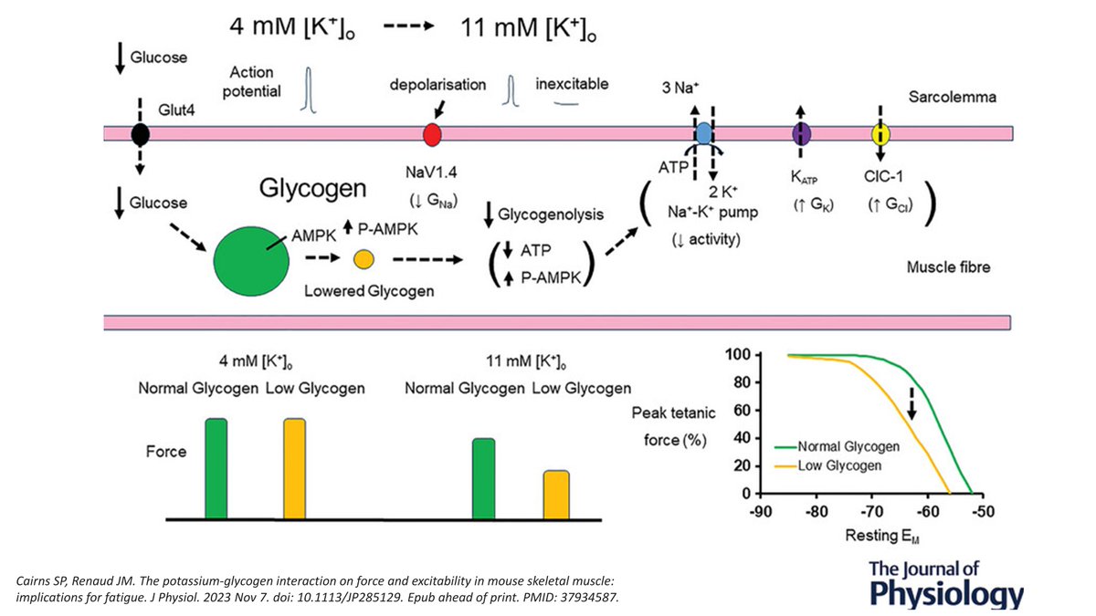 Joachim Nielsen tweet media
