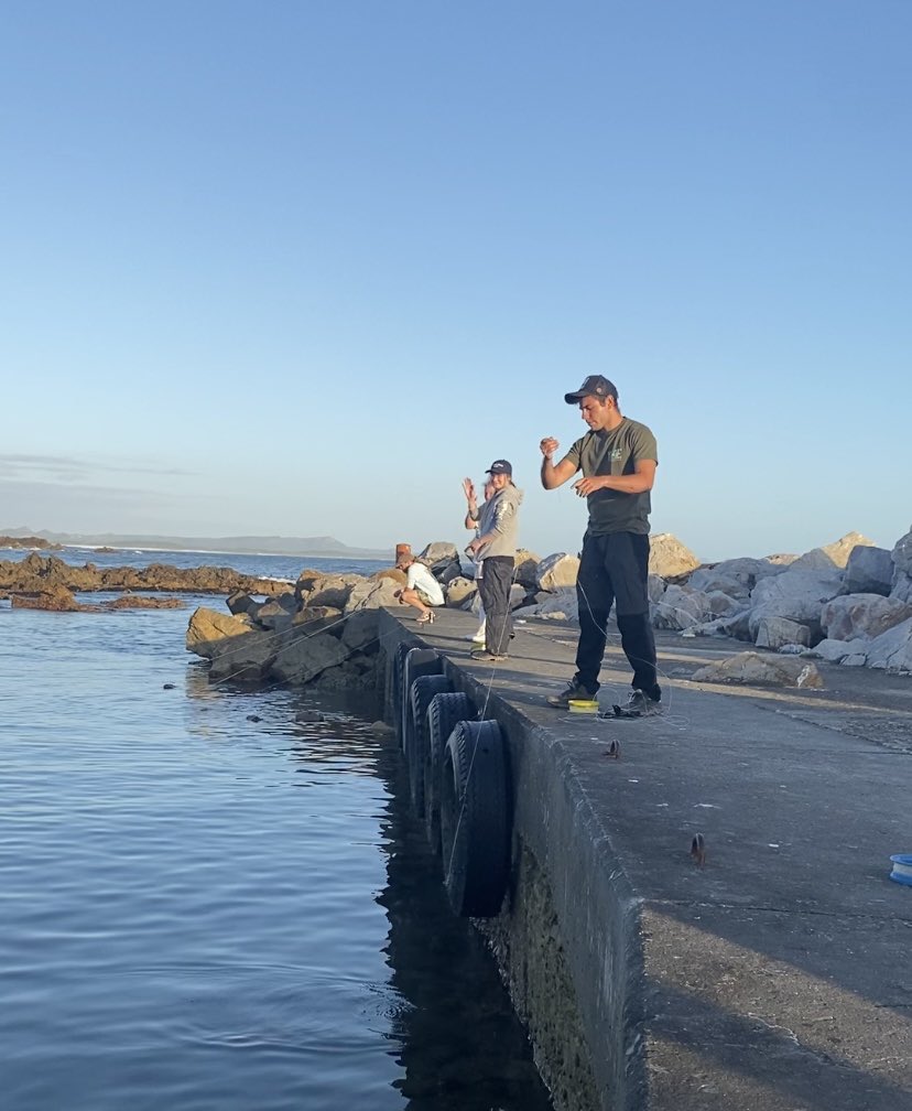 wsprojects's tweet photo. Our volunteers went #fishing last night, and caught 8 #leopard #catsharks and 2 #pyjamasharks! The data can help us determine population size and health. Afterwards, the #sharks are safely returned to the water. π¦
#whitesharkprojects #catchandrelease #sharkscience https://t.co/5JKNtC8GmF