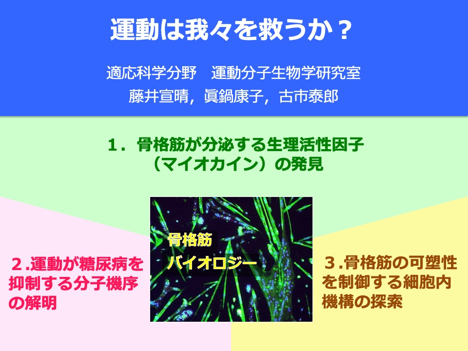 TMU_MBExLab's tweet image. 11/18(土)の説明会では、30分前（12時30分）から各研究室のポスター発表（研究室紹介）をしています！詳しく聞きたい方は少し早めにご来場ください！
