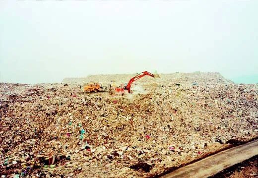 루덴스🥞 tweet media