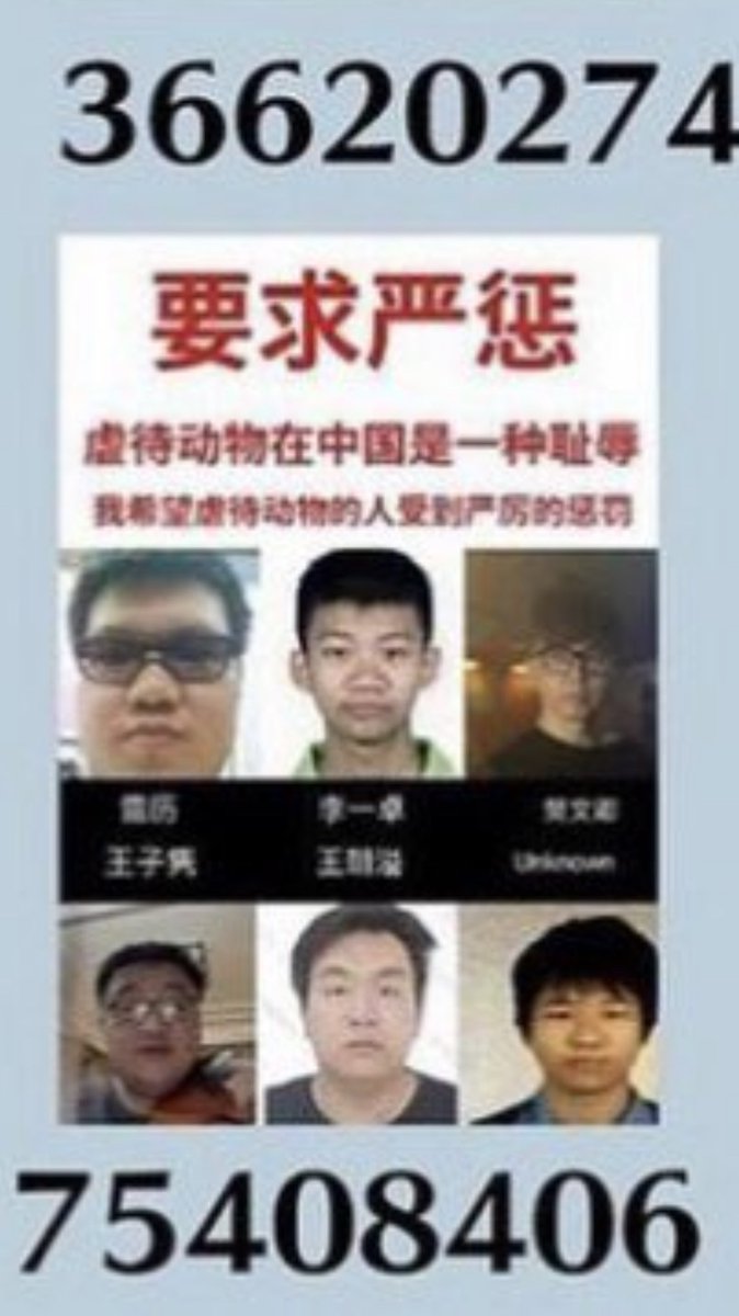 Alessan58562568's tweet image. Arrest these thugs, murderers and to conclude shitty faces. 😡😡😡