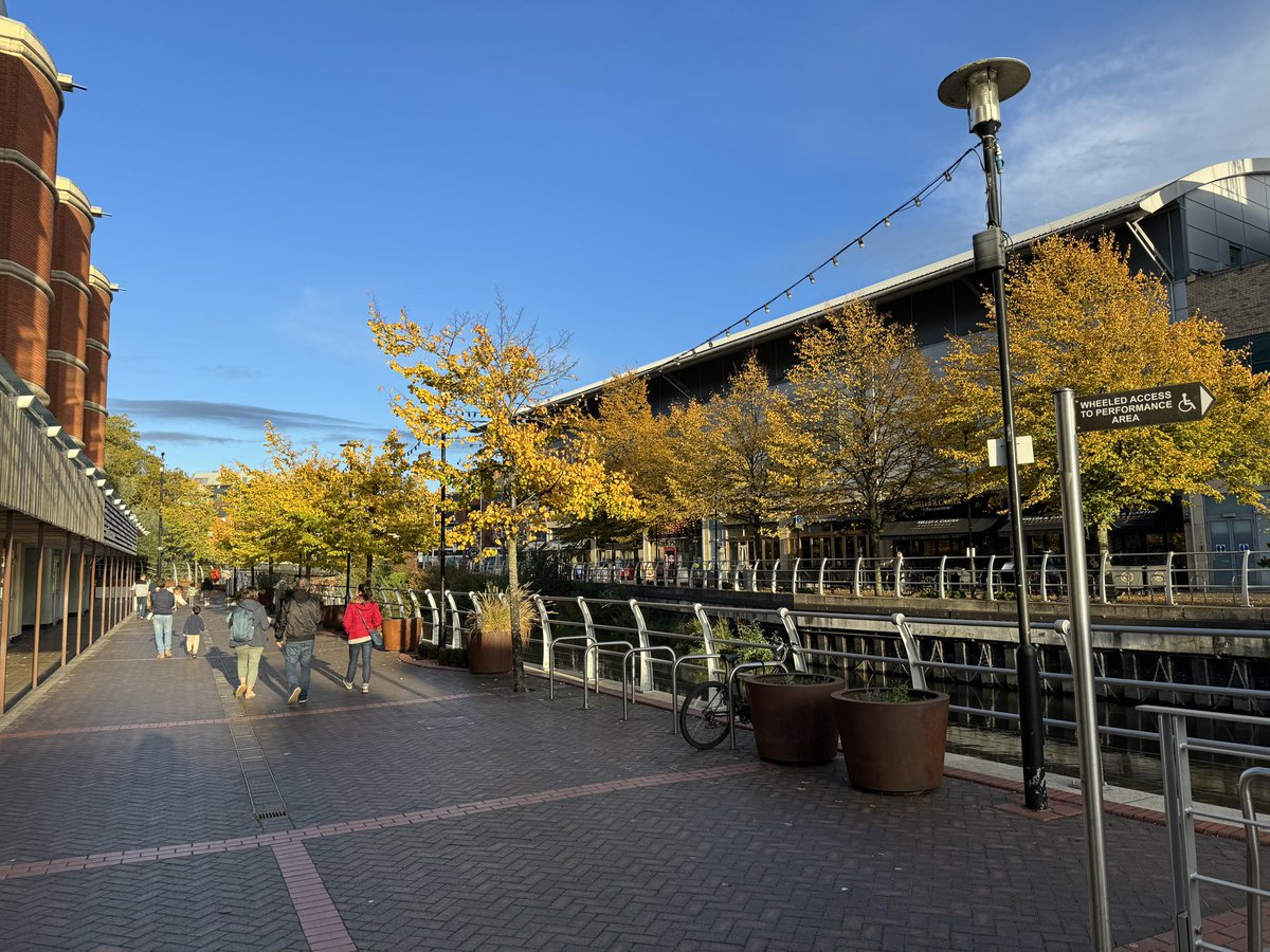 dingicons tweet media