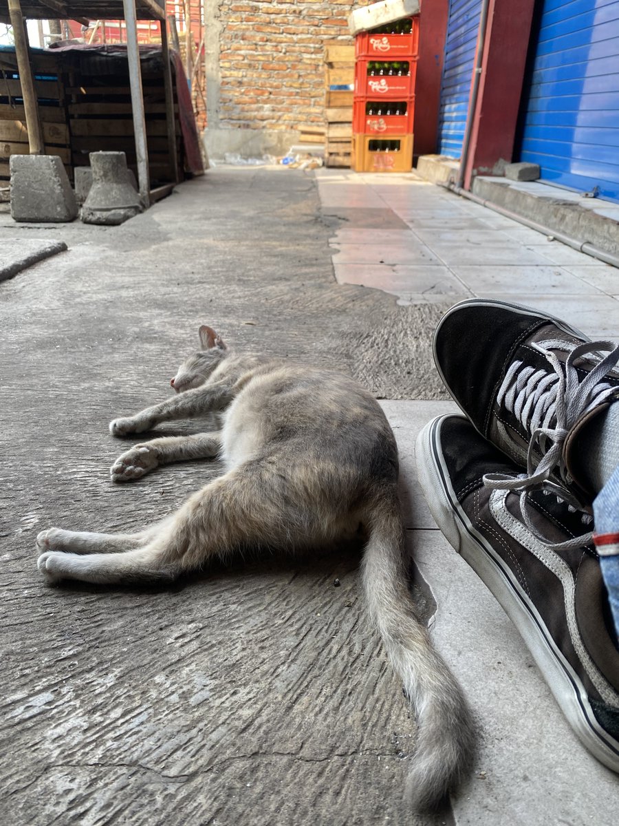 Enak yaa iso turu sak nggon-nggon, aku yo gelem…