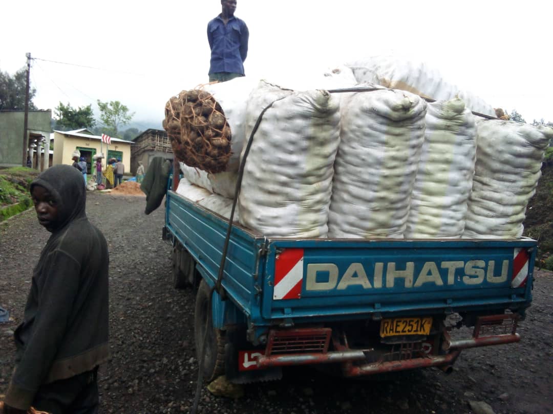 8 Nov,2023, Koushi potato cooperative in <a href="/MusanzeDistrict/">Musanze District</a> is happy with their ware potato production . Well done <a href="/AgriterraRwanda/">Agriterra Rwanda</a> <a href="/Agripool_advice/">Agriterra Agripool</a> <a href="/ImbaragaO/">Rwanda Farmers Organization "IMBARAGA "</a> <a href="/spf_ikigega/">SPF-Ikigega</a> <a href="/RwandaAgri/">Ministry of Agriculture & Animal Resources |Rwanda</a>