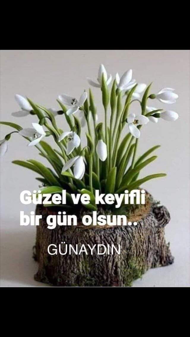 İYİ ARZULU SEYİRLER