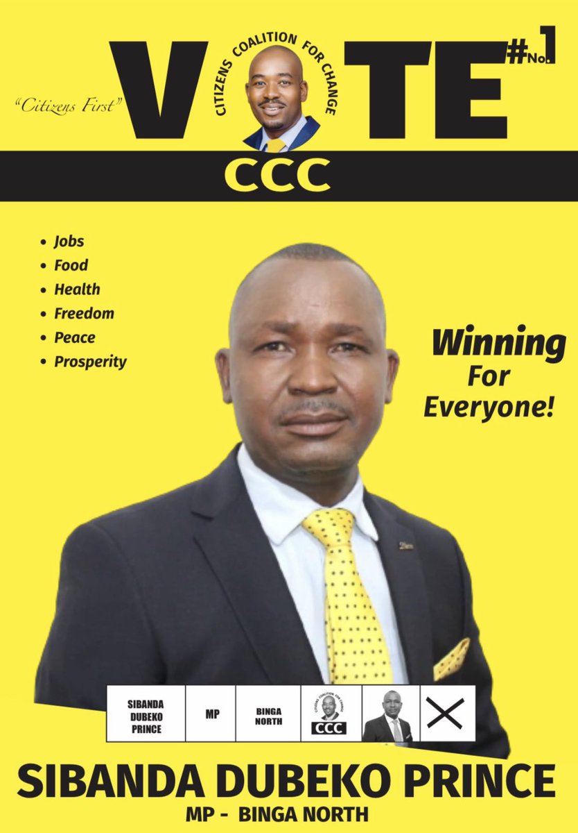Binga North Constituency this is your prefered candidate @DubekoSibanda who was recalled by Tshabangu & his handlers. Lets us come out in huge numbers in the up coming by-elections & punish the regime. Our President is Advocate @nelsonchamisa.
