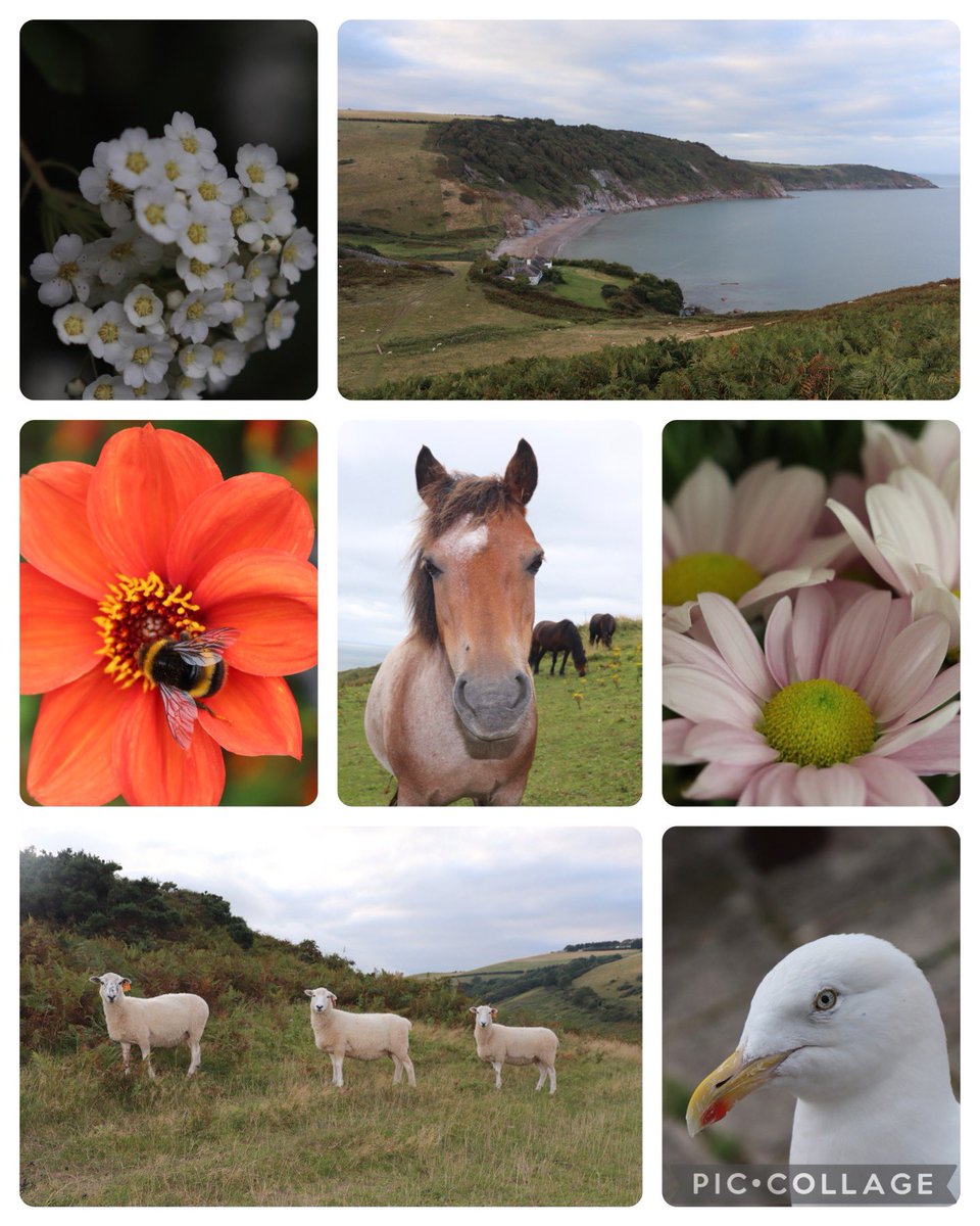 UoW_OT's tweet image. Day 4 of #OTweek, our next occupation is photography, for many this is a meaningful hobby but it is also used in employment, voluntary work or to keep a record of family roles. Photography can provide, enjoyment, relaxation, distraction from difficulties and creativity.