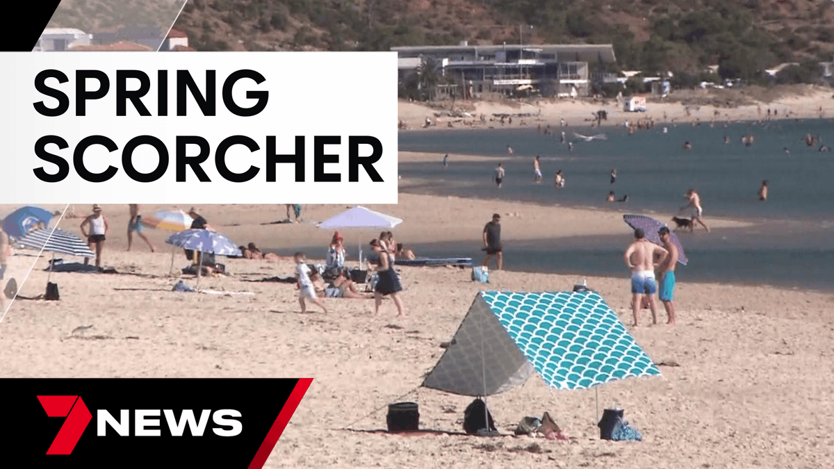 7NEWS Adelaide tweet media