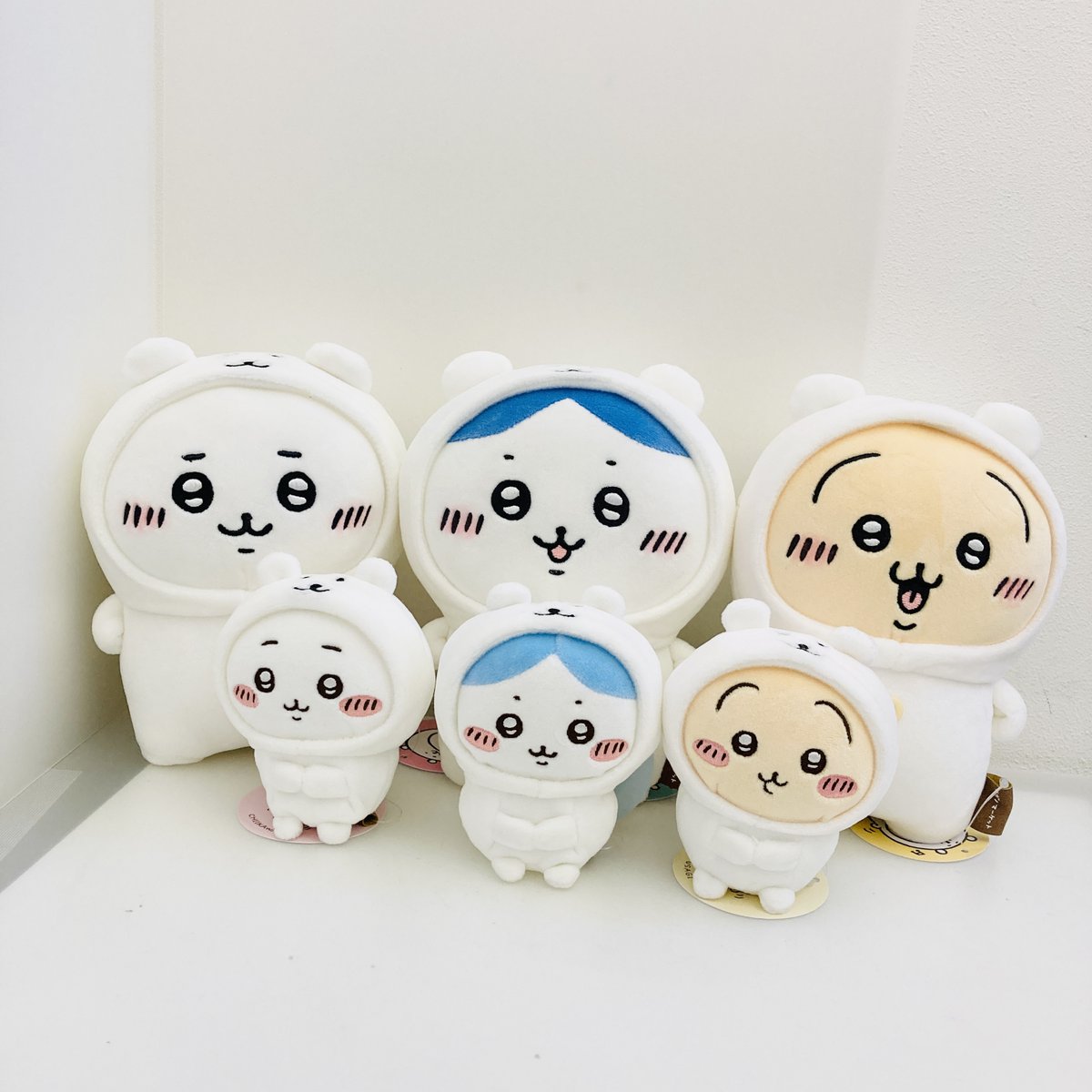 ナガノマーケットSHINSAIBASHI 【📢11/9(木)再入荷のお知らせ①】 お
