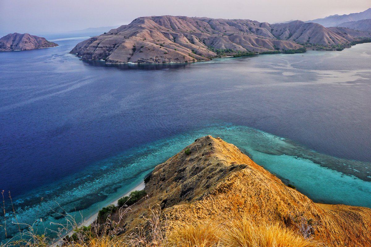 The last week in three #komodo #boatlife #divelife