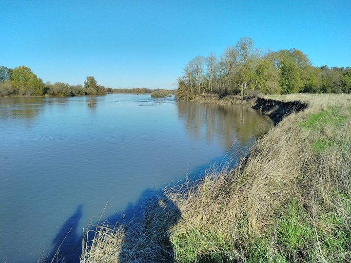 Terrain sur l'Allier avec les étudiants du Master Dynarisk très motivés ! Étude sur la restauration du bas Allier  à la demande du Conservatoire d'Espaces Naturels de la Région Centre.