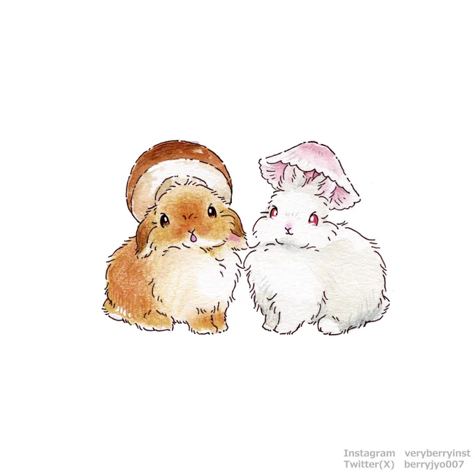 世界三大きのこポルチーニとサクラタケうさぎさん 