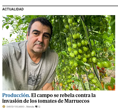 🧑‍🌾👩‍🌾Somos portada en la edición de hoy del periódico @elmundoes 🗣️Hablando sobre #soberaniaalimentaria #agronegocio 💸#importacionesilegales #mercadoeuropeo #marruecos #tomate 🍅 @davidvigario @La_COAG @COAGANDALUCIA elmundo.es/economia/2023/…