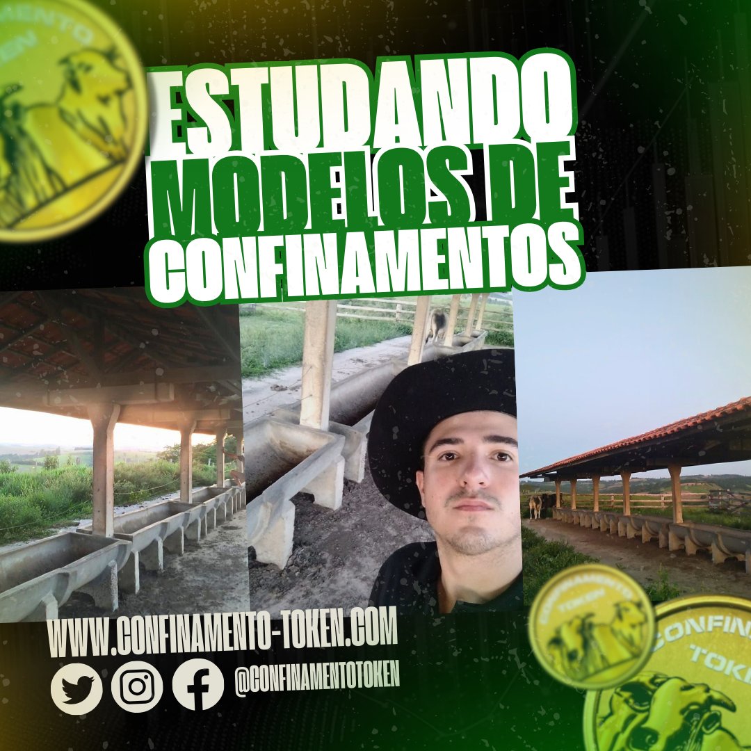 Confinamento Token tweet media