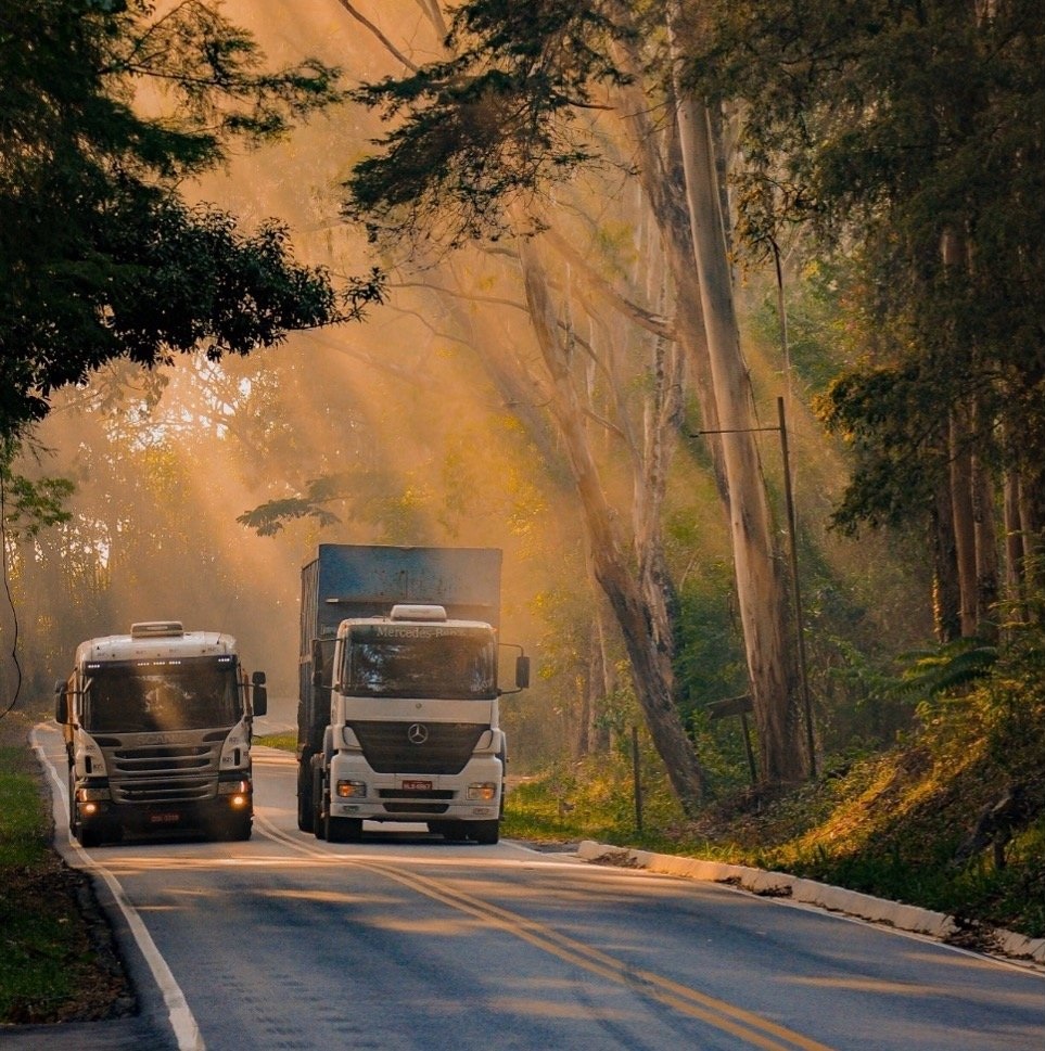 An estimated 9 million dead mammals every year in Brazil alone.

The <a href="/IUCNRedList/">IUCN Red List</a> does not consider roadkill a threat to most mammals. However, “roadkill is having a greater impact on wildlife survival than previously thought,” says Dr Fernando Pinto.

transportecology.info/research/asses…