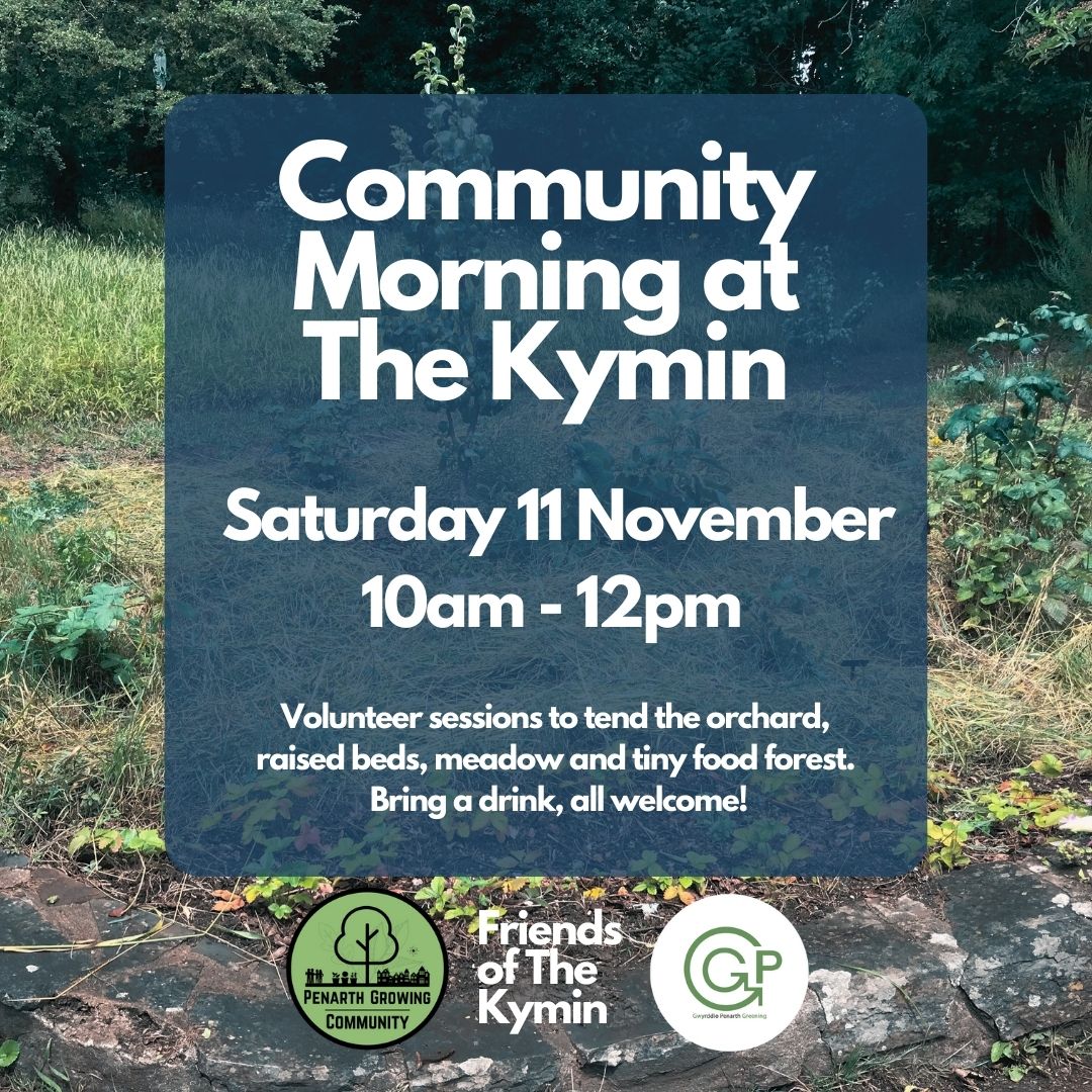 Our next community morning at The Kymin with Friends of the Kymin is this Sat 11 November, 10-12.

We've got some wildflower seeds to sow in the meadow, plus some weeding and mulching in the food forest.

Bring a drink for a break at 11. 

All welcome.
#penarth #tendingtheland