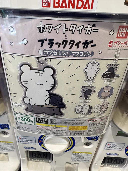 え、最高では? 