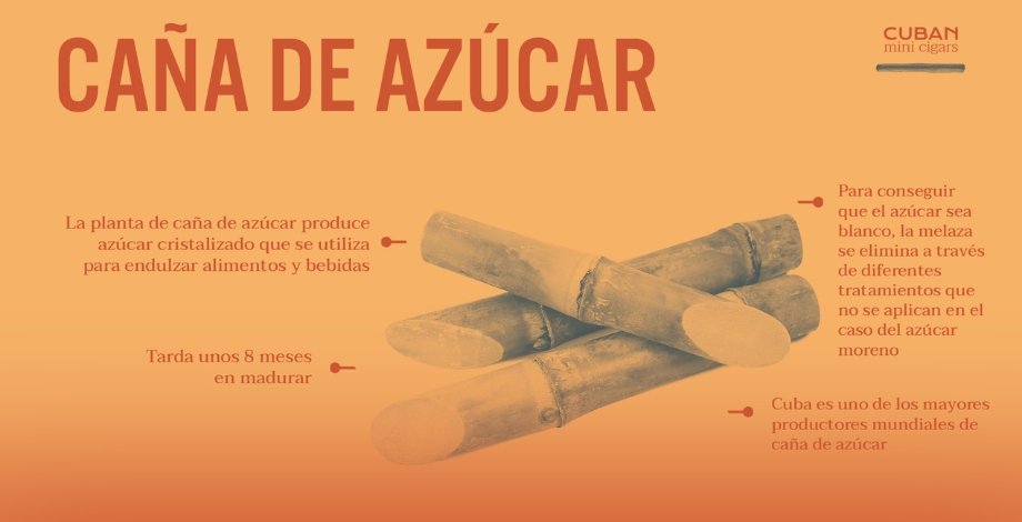 cubanminicigars's tweet photo. 🇨🇺La historia de #Cuba está muy ligada al desarrollo de la industria del azúcar y sus derivados.
Es por eso que hoy queremos darte alguna curiosidad más sobre este elemento indispensable en comidas y bebidas.
¡Azúuucar!
#cubanmini #cigars #minicigars #azúcardecaña https://t.co/FZOl2QJvpm