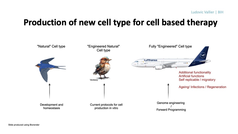 VallierLab's tweet photo. Looking forward to give my 3 mn talk at the Future Medicine Science symposium organised by @BIH_Innovation @BIHregeneration.
#FutureMedicine and #ScienceMatch. I will imagine the future of cell based therapy (see slide below). https://t.co/QvEMSHcq5U