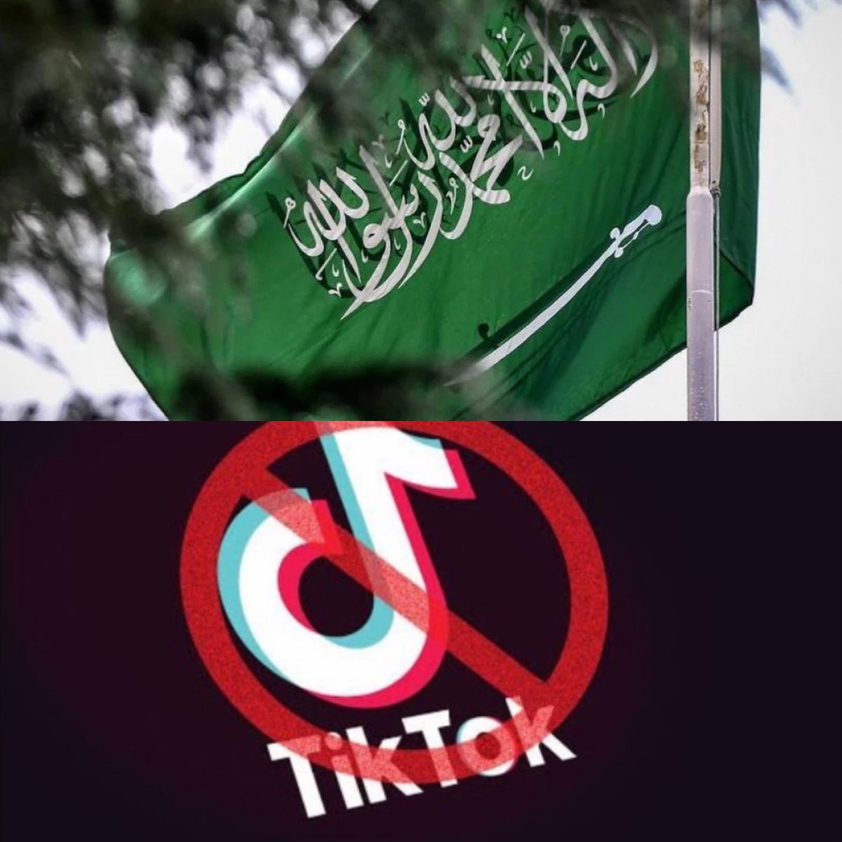 TheSaudi_post's tweet photo. لأن #السعودية_أولاً، شبكة #السعودية_بوست الإخبارية تعلن وقف النشر وغلق جميع حساباتها على منصة #تيك_توك بشكل نهائي 🇸🇦

#مقاطعه_تيك_توك https://t.co/eQnEeaeZO8