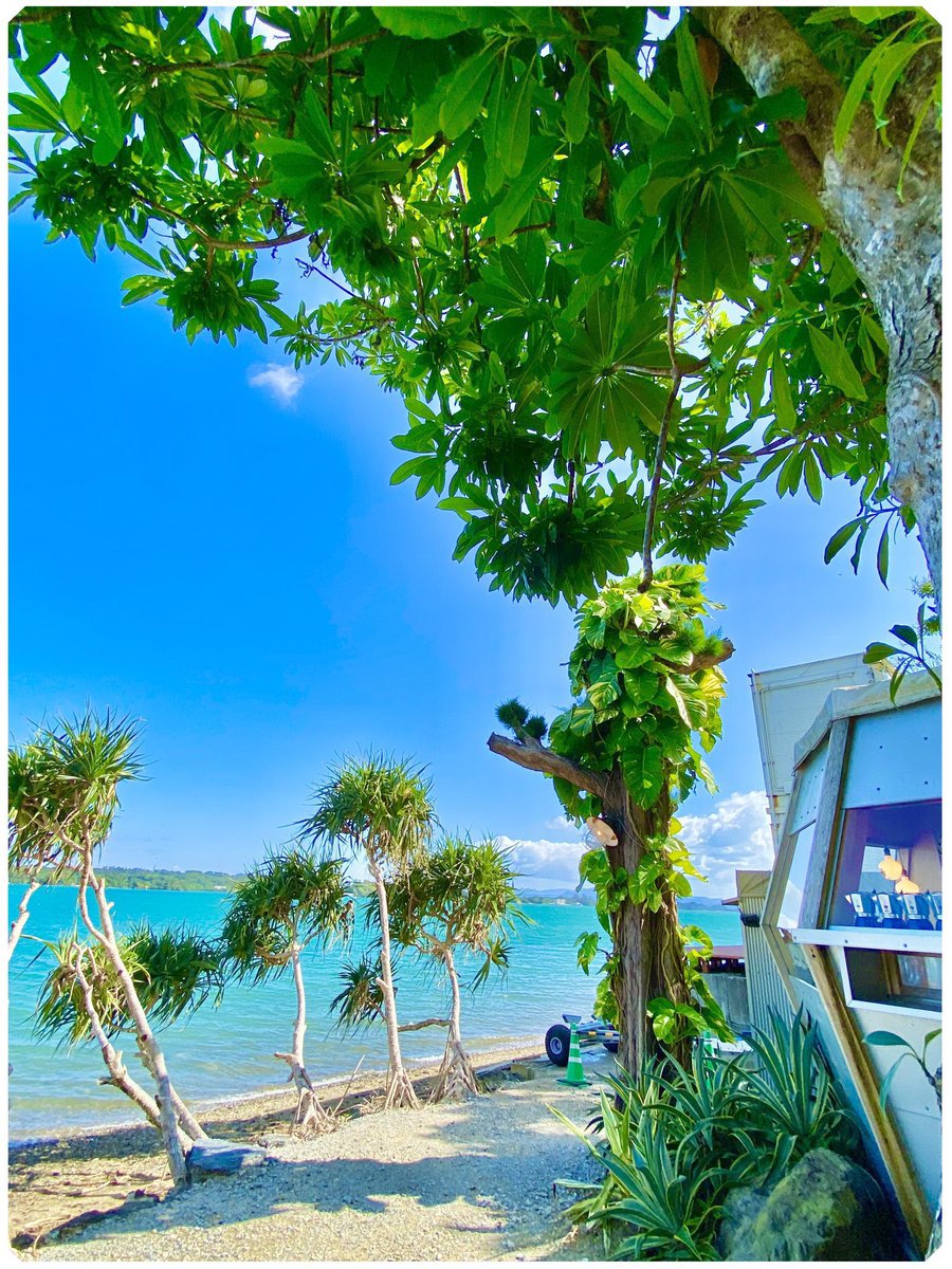 yui_m_flow's tweet photo. FIFI PARLOR🍹✨🏝️
フィーフィーパーラー

ウッドデッキとブランコ
海がきれいで気持ちよくて好き
☕️✨🫘🌴
　
.

.

お店いわく(本人インスタで)

#FIFIPARLOR 💬
#フィフィパーラー じゃないよ
#フィーフィーパーラー だよ
🧉✨🏝️だそうです◡̈ෆ https://t.co/WeqChZvnZ0