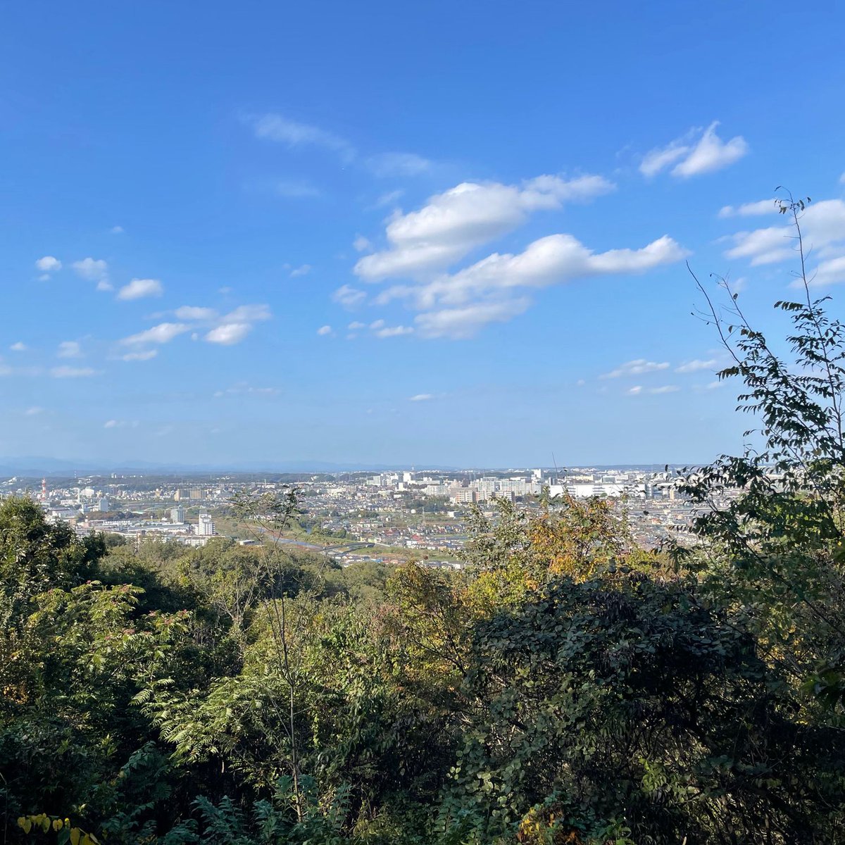 d_sea's tweet photo. 森に癒されてきた🌳🌳🌳 at 長沼公園 https://t.co/nakBp4PmoH