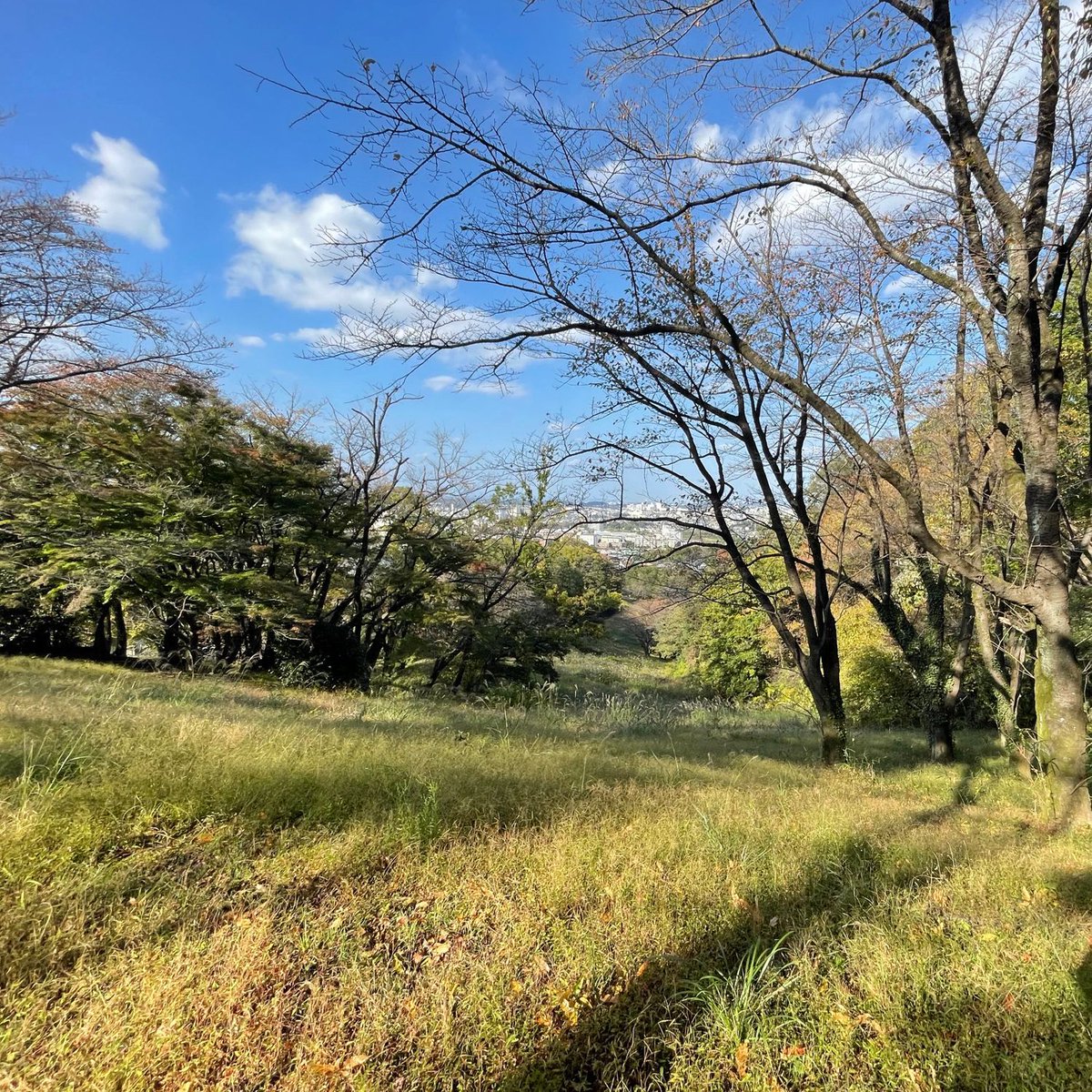 d_sea's tweet photo. 森に癒されてきた🌳🌳🌳 at 長沼公園 https://t.co/nakBp4PmoH