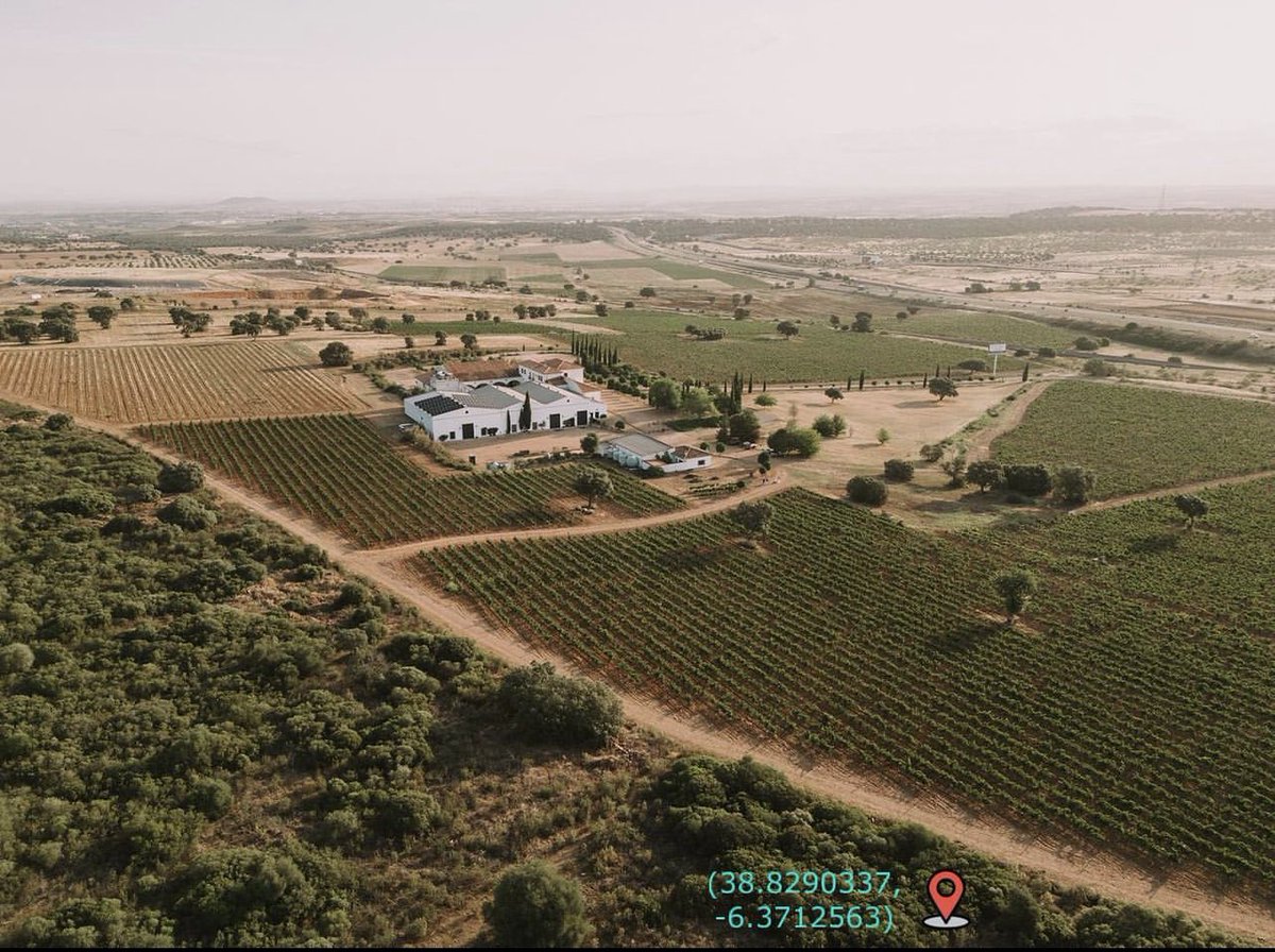 Nos encontramos a 12 Km de Mérida, donde continuamos hoy en día una tradición bodeguera de más de 300 años.

Contamos con 200 hectáreas en la Sierra de la Moneda y 80 hectáreas de bosque y matorral mediterráneo y 36 hectáreas de viñedos en propiedad.