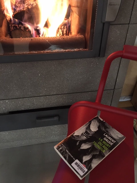 Une enseignante a offert des vacances "cosy"  au coin du feu pour ce roman de #laurentgaudé "La mort du roi Tsongor"