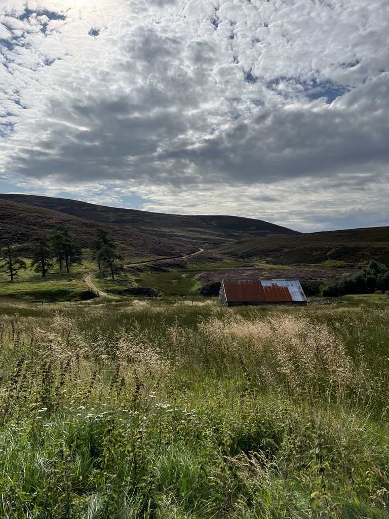 Communities must benefit from Scotland's changing land use. New guidance out today puts local people at the heart of land decisions. 

Read more here bit.ly/communitybenef…

#CommunityBenefit #LandReform