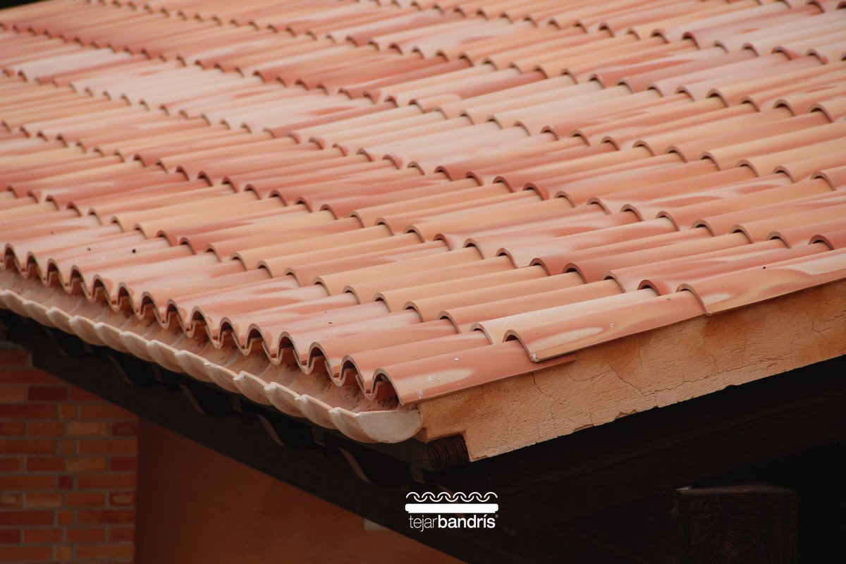 Tejar Bandris tweet media