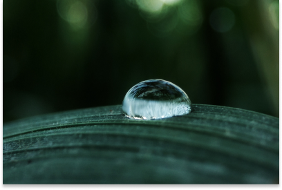 Helixtap tweet media